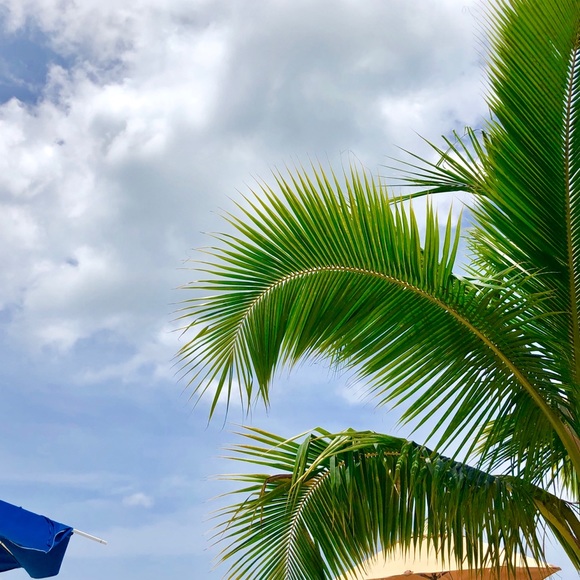 Meet your Posher, Ashlynn - Picture 1 of 1